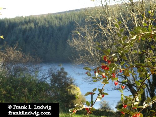 Lough Nasool